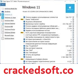 Cyrobo Clean Space Pro 7.88 Crack